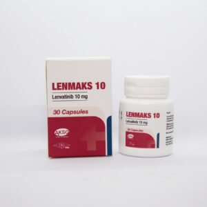 LENMAKS 10